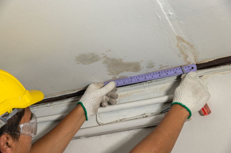 Attic Water Damage Repair in Summerville, SC