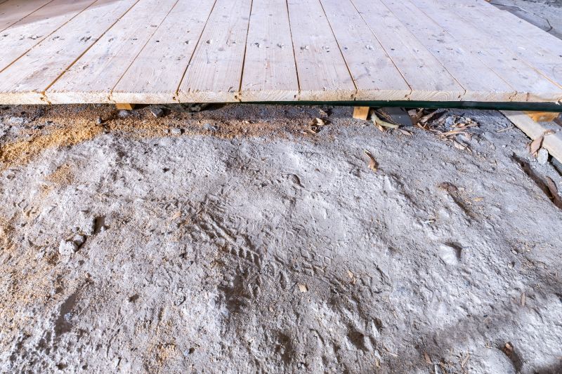 Subfloor Removal